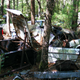 Illustration for article titled Massive Secret Mustang Junkyard Found In Rhode Island Forest